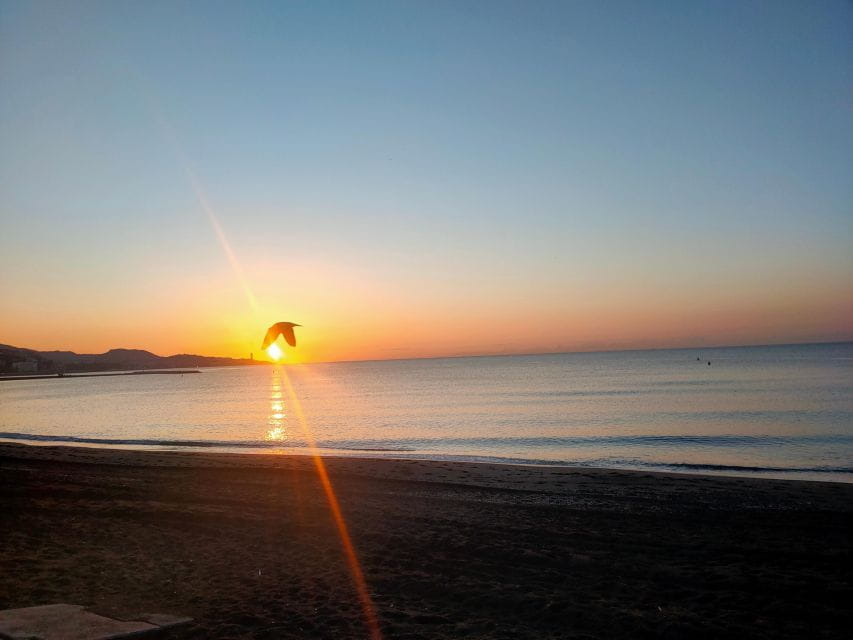 Malaga Bike Tour - Street Art, City Center, Bay Area - Things To Know