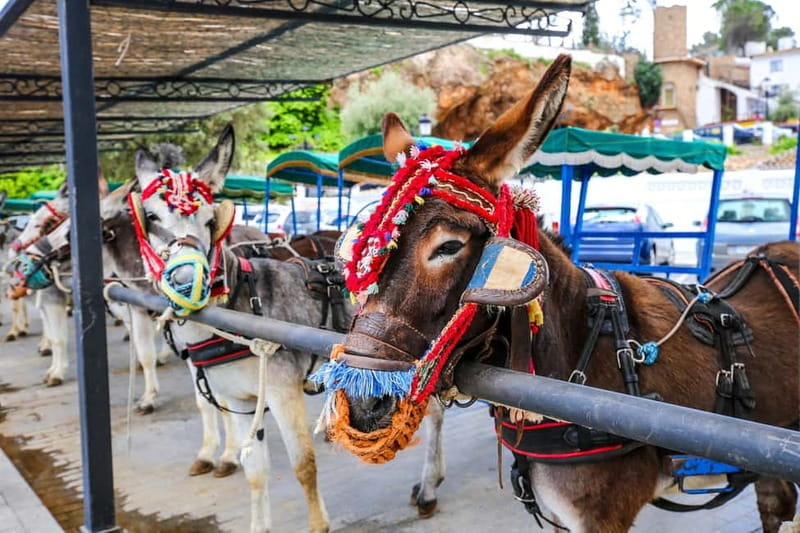 Malaga, Catamaran ride and Mijas Pueblo - FAQ