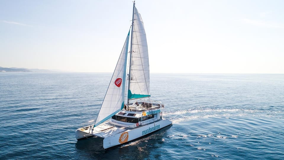 Malaga: Catamaran Sailing Cruise With Swimming & Optional DJ - Customer Feedback Summary