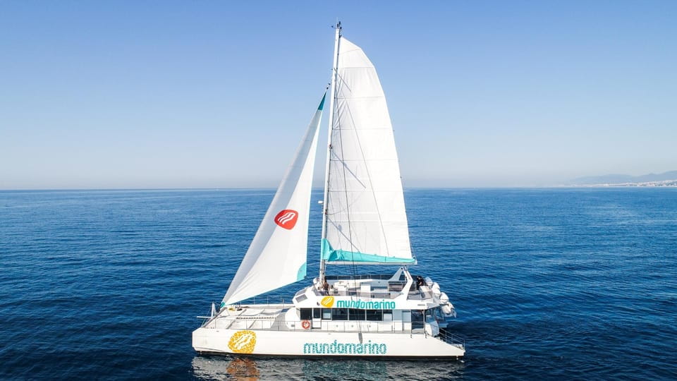 Malaga: Catamaran Sailing Trip With Sunset Option - Tips for a Memorable Experience