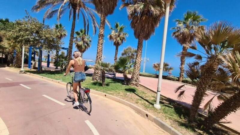 Malaga: City Bike Rental with Self-Guided Cycling Route - Key Points / Takeaways
