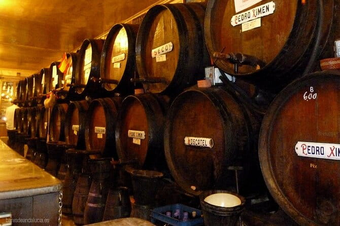 Malaga Gastronomy Tour Wines and Spanish Tapas - Starting Point: Antigua Casa De Guardia – Malaga’s Oldest Winery