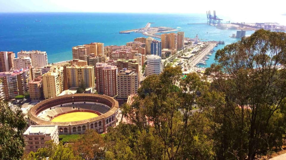 Malaga: Group Walking Tour - Accessibility Options