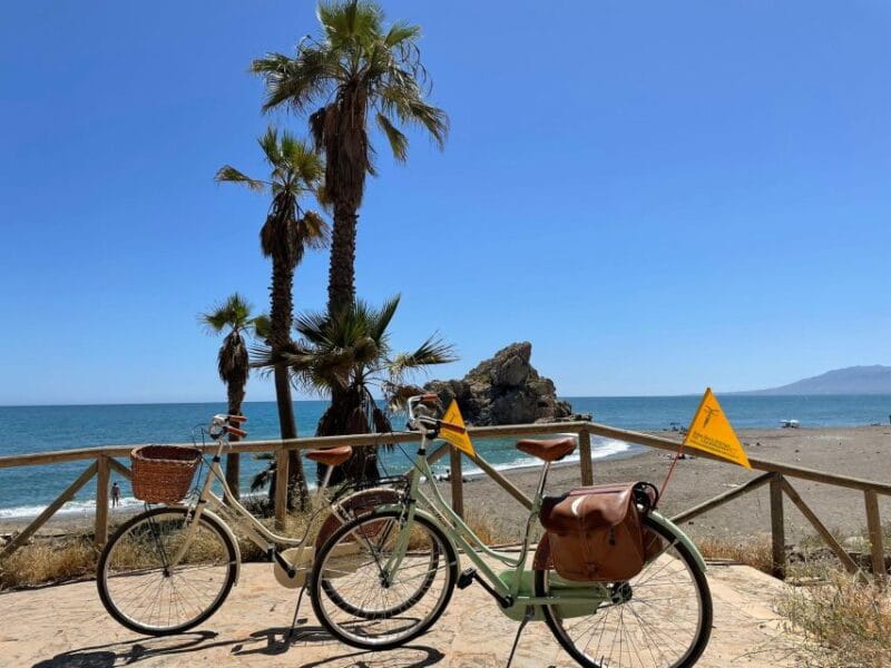Malaga: Guided Bike Tour - Price and Logistics