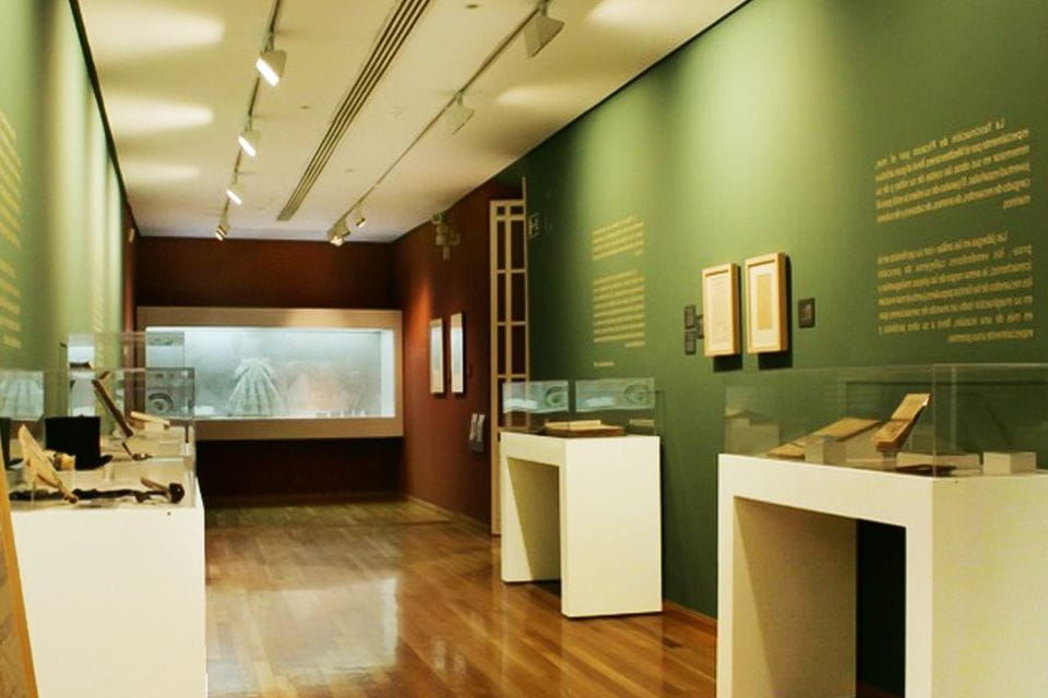 Malaga: Guided Tour of Picassos Birthplace Museum - Inclusions of the Tour