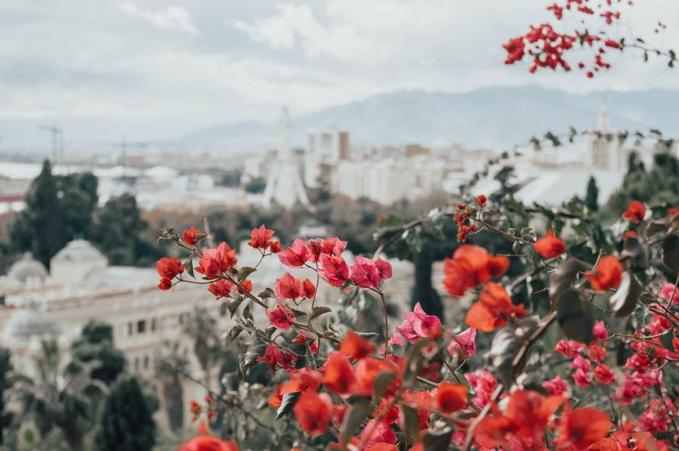 Málaga: Highlights, Old Town & Viewpoint Walking Tour - Things To Know