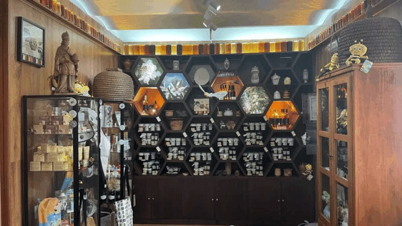 Malaga: Honey Museum Entry Ticket - Key Points and Takeaways