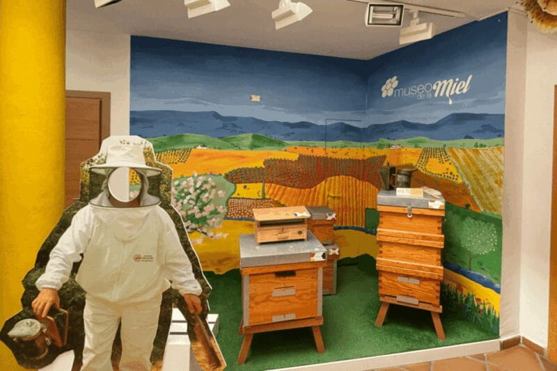 Malaga: Honey Museum Entry Ticket - Practical Details: What You Need to Know