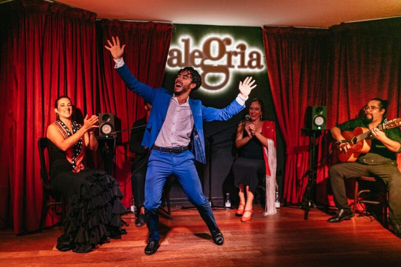 Málaga: Live Flamenco Show at Flamenco Alegría - Final Thoughts: Is This the Right Choice?