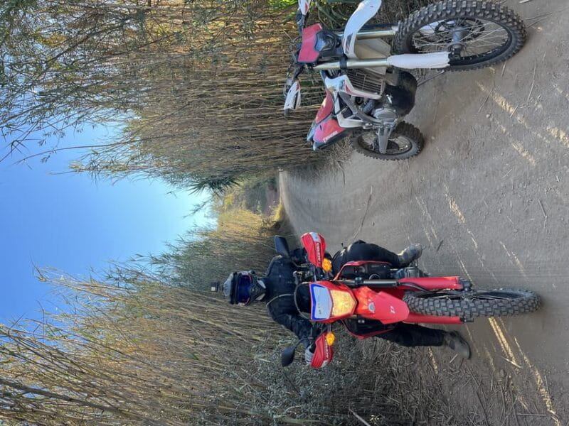 Málaga: One Day Off-Road Motorbike Tour - The Local Lunch Experience