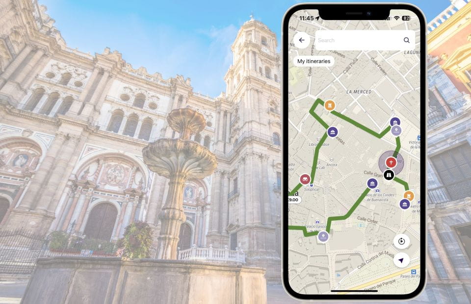 Málaga: Picasso Birthplace Museum Ticket & City Audio Guide - Important Items to Bring