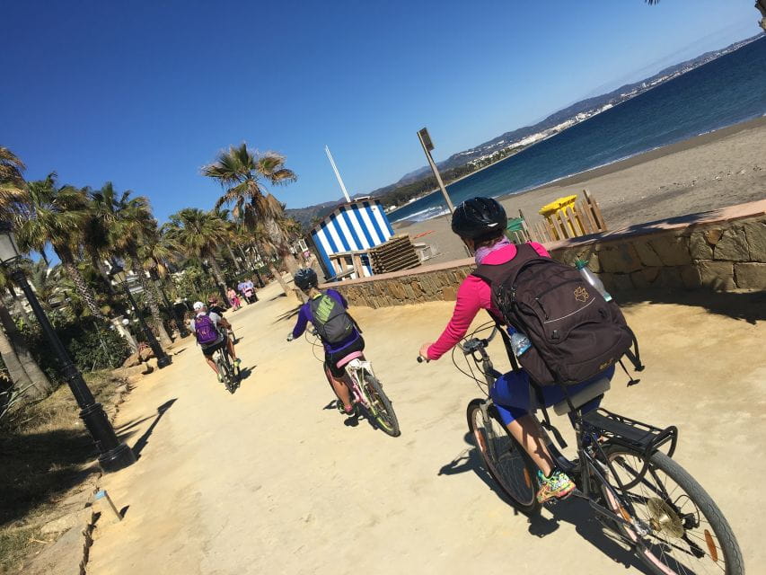 Malaga: Private Guided Bike Tour - Things To Know