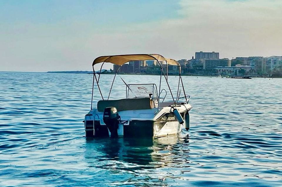 Malaga: Rent Boat Without a License for Dolphin Watching - Activity Description