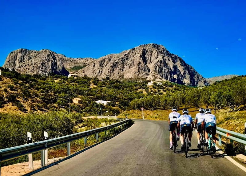 Málaga: Road Bike Tour with Guide and Bike Rental - A Closer Look: What to Expect from the Málaga Road Bike Tour
