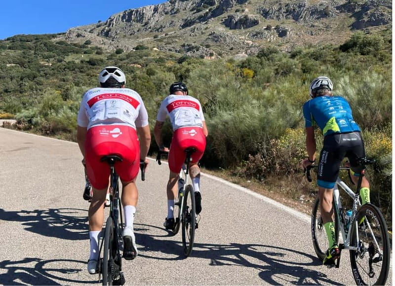 Málaga: Road Bike Tour with Guide and Bike Rental - Who Will Love This Experience?