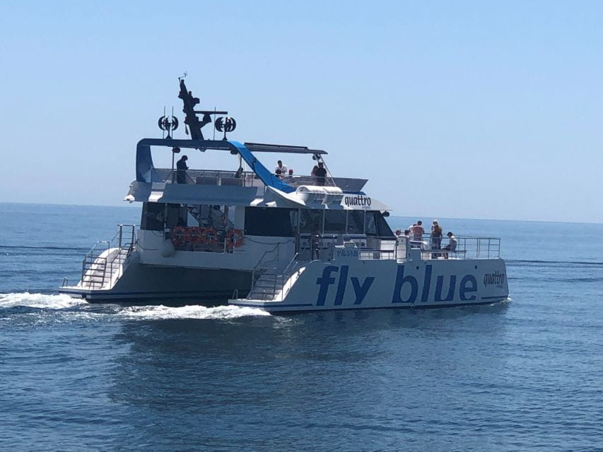 Málaga: Sunset Catamaran Trip - Key Details to Know