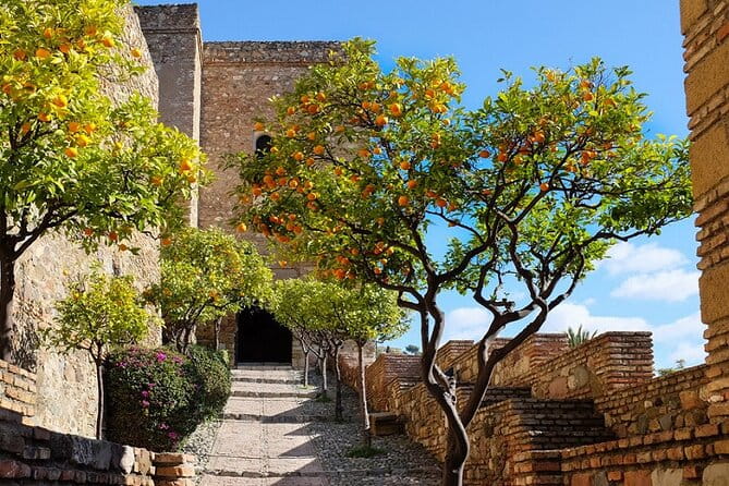 Malaga Super Tour - A Detailed Deep Dive into the Malaga Super Tour