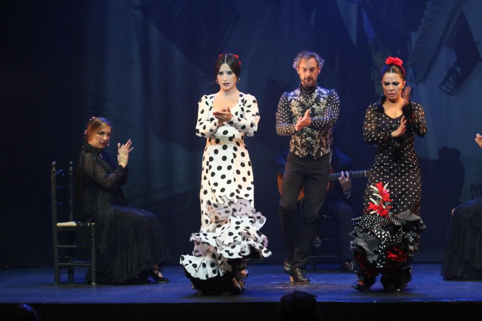 Malaga: Teatro Flamenco Malaga Live Flamenco Show - Things To Know