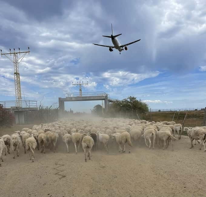 Málaga: Tour 2-Hours Solo All-Terrain Quad Adventure - FAQ