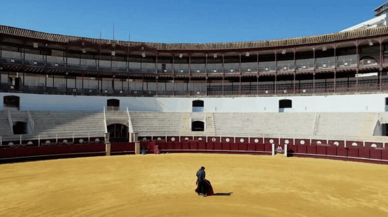 Malaga: Tour of Malagueta Bullring & Immersive Exhibition - Key points / Takeaways