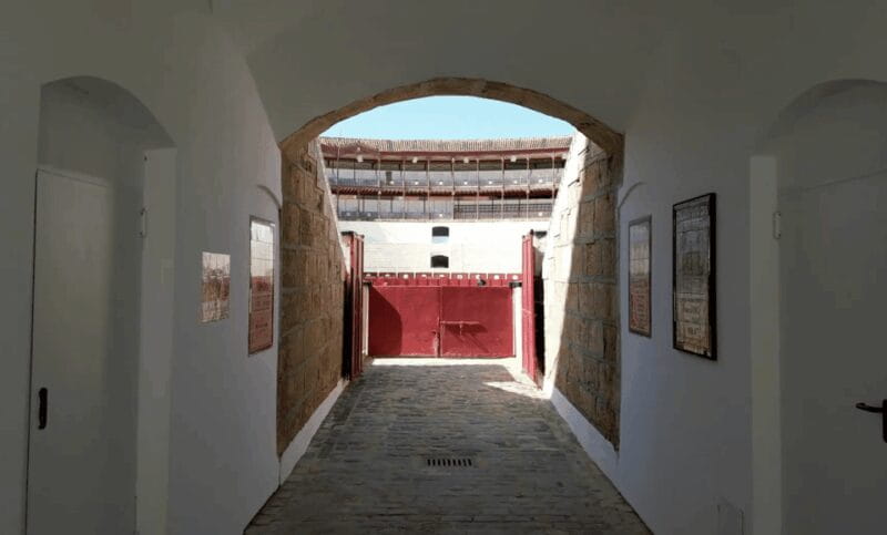 Malaga: Tour of Malagueta Bullring & Immersive Exhibition - Inside the Malagueta Bullring: What You’ll See and Do