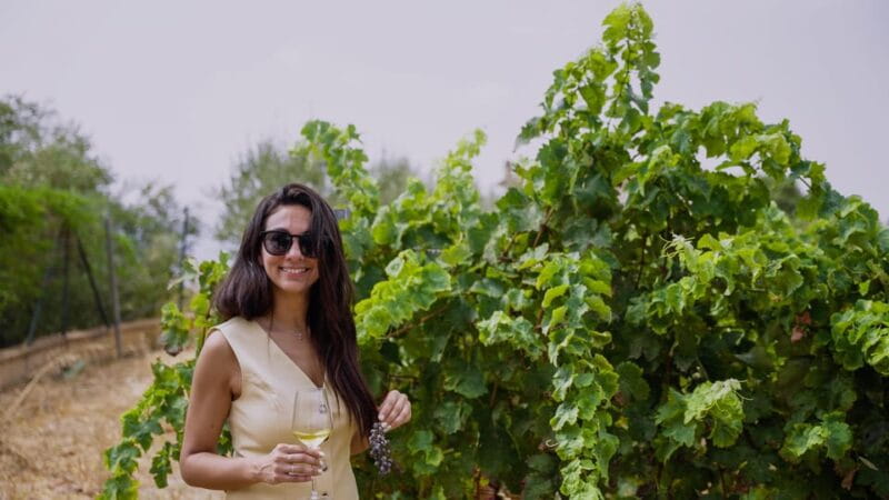 Malaga: Vineyard and Cellar Visit with 6 Top Wines and tapas - The Garage Cellar: Intimate, Unpretentious, Authentic