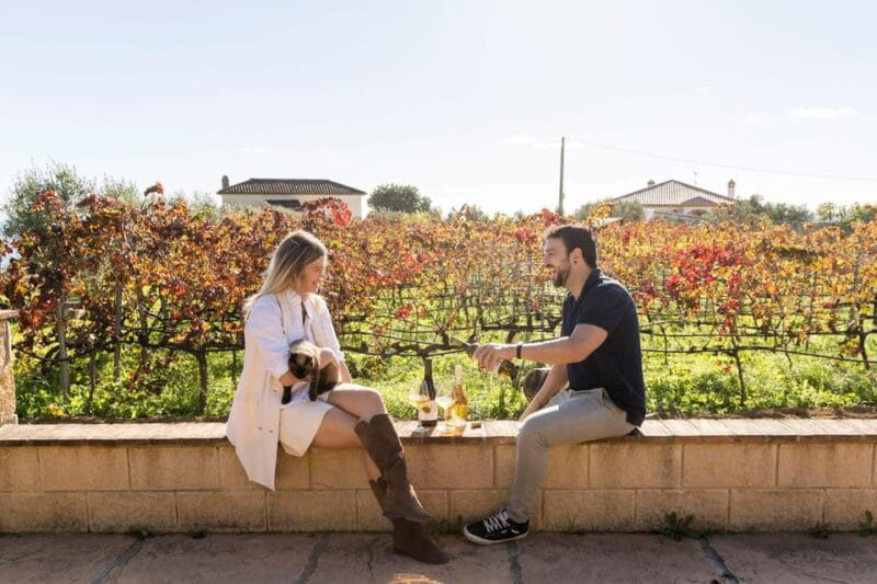 Malaga: Vineyard and Cellar Visit with 6 Top Wines and tapas - Price and Overall Value