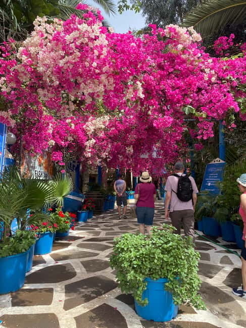 Malia: Sissi and Beyond Tuk Tuk Tour with Raki and Honey - Who This Tour Is Best For