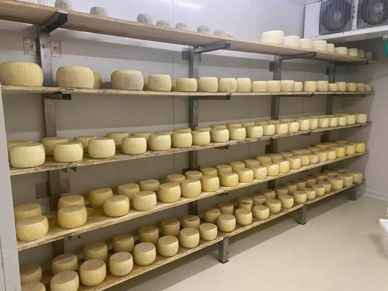 Malia: The uthentic Crete - Starting Point: Convenience and Comfort of Pickup Locations