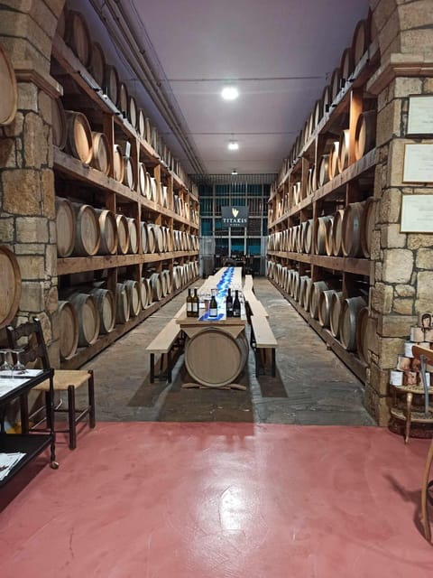 Malia: The uthentic Crete - Exploring the Olive Oil Heartland: A Top Farm Visit