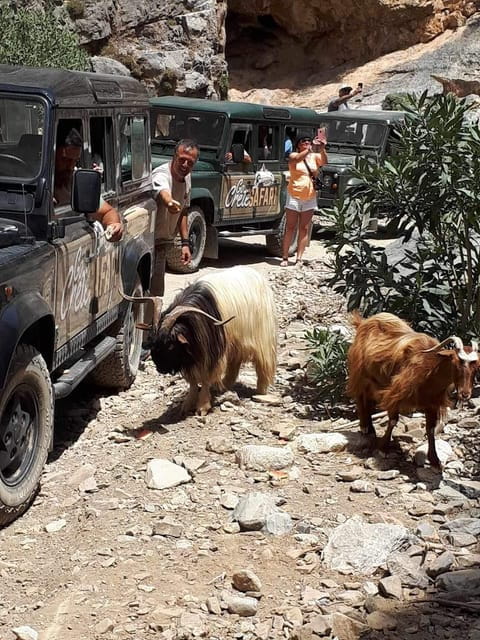 Malia: The uthentic Crete - Delightful Walks and Local Encounters