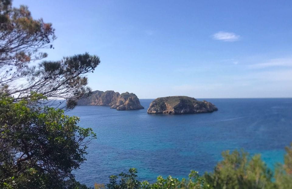 Mallorca: 2-Hour Coastline & Malgrat Islands Catamaran Tour - Things To Know