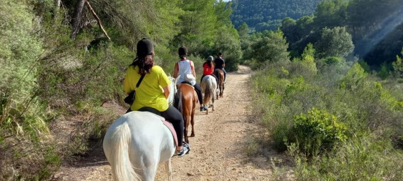 Mallorca: Activity, Antique Mallorca with Picnic - Entering the World of Mallorca on Horseback