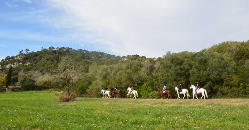 Mallorca: Activity, Antique Mallorca with Picnic - Scenic Ride Through Randa Valley