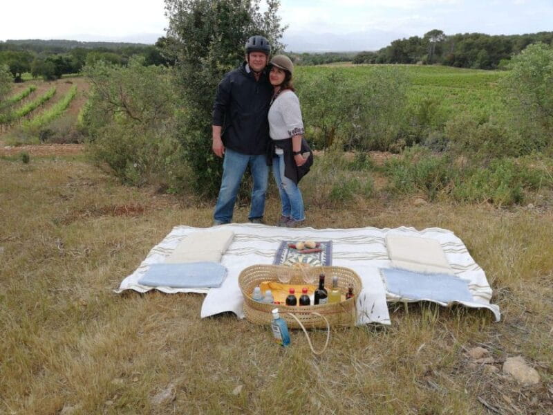 Mallorca: Activity, Antique Mallorca with Picnic - The Perfect Picnic Among Vines and Olive Groves