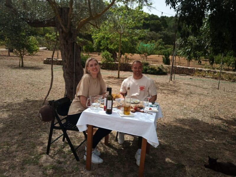 Mallorca: Activity, Antique Mallorca with Picnic - Who Will Love This Experience?