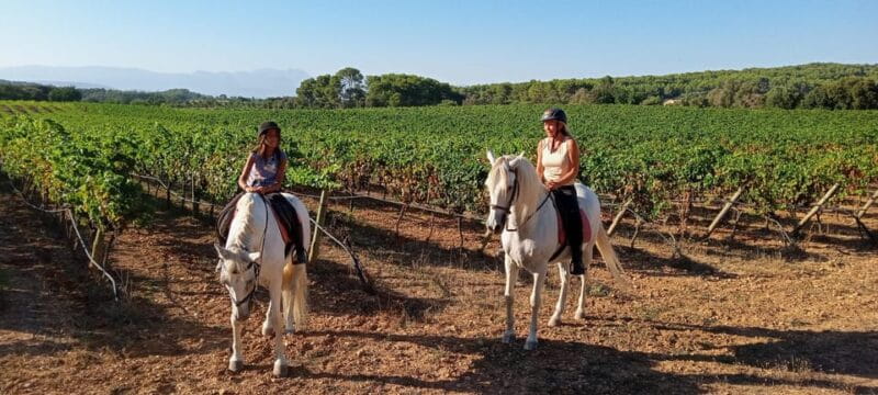 Mallorca: Activity, Antique Mallorca with Picnic - Final Thoughts: Authentic, Scenic, and Personal