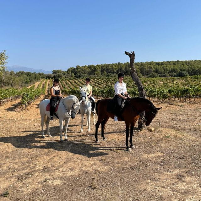 Mallorca: Activity With Horses, Antique Mallorca - Duration and Group Size