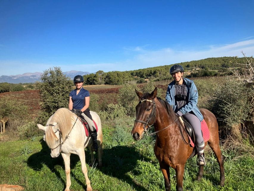 Mallorca: Activity With Horses, Antique Mallorca - Languages and Cancellation Policy