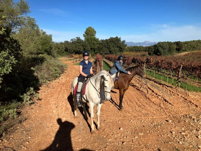 Mallorca: Activity With Horses, Antique Mallorca - Riding Levels and Instruction