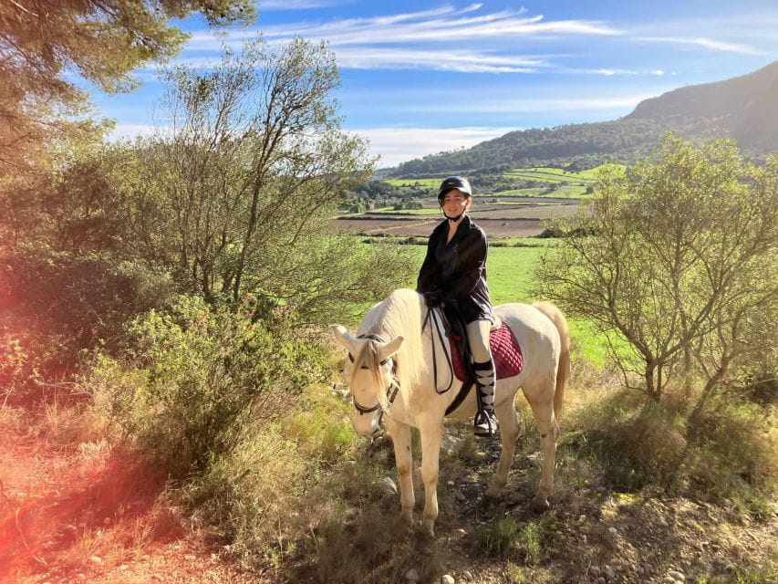Mallorca: Activity With Horses, Antique Mallorca - Scenic Trail Ride