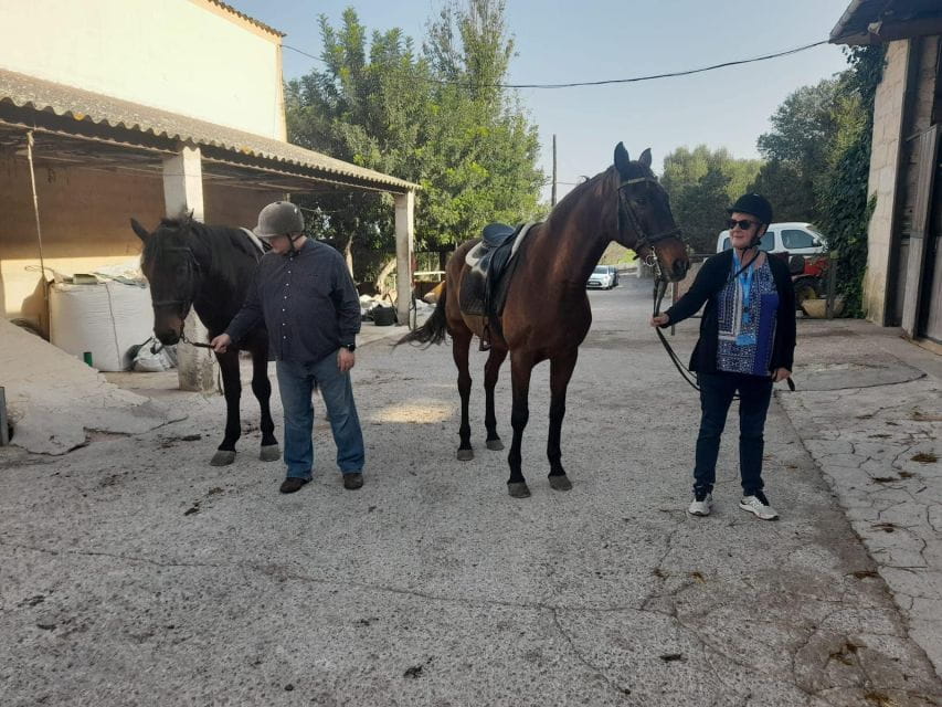 Mallorca: Activity With Horses, Antique Mallorca - Horse Care and Refreshments