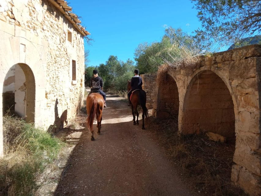 Mallorca: Activity With Horses, Antique Mallorca - Meeting Point and Reviews