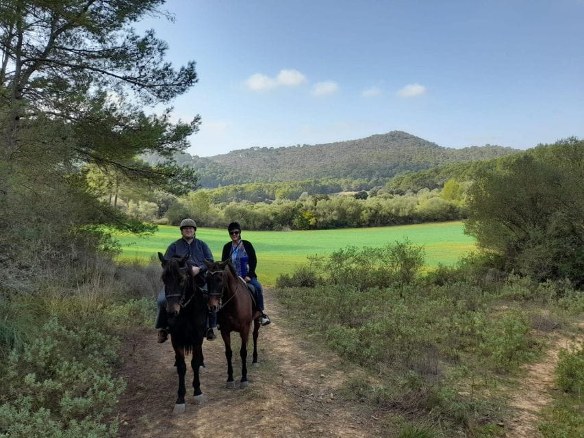 Mallorca: Activity With Horses, Antique Mallorca - Things To Know