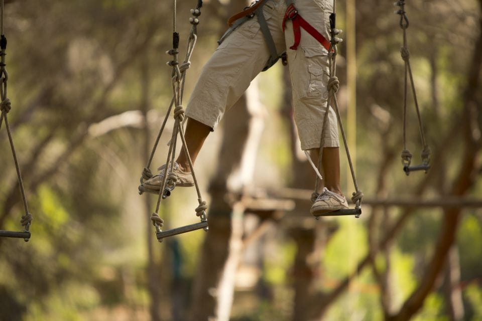 Mallorca: Adrenaline Tree Top Adventure Entry Ticket - Key Points