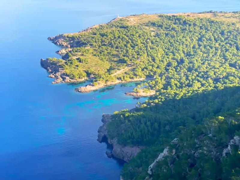 Mallorca: Alcudia: Private Boat Tour with Snorkel - Who Should Consider This Experience