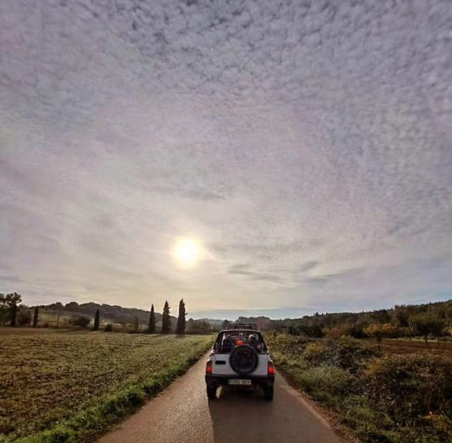 Mallorca: Beach and Mountain 4X4 Tour - Customer Reviews Summary