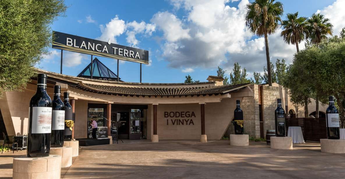 Mallorca: Blanca Terra Bodega Ticket - Optional Wine Tasting - Wine Tasting Options