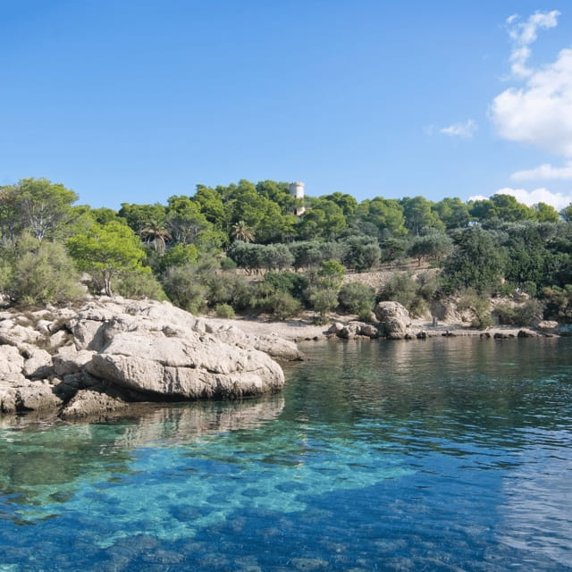 Mallorca: Boat Transfer between Port Andratx and Sant Elm - Key points / Takeaways