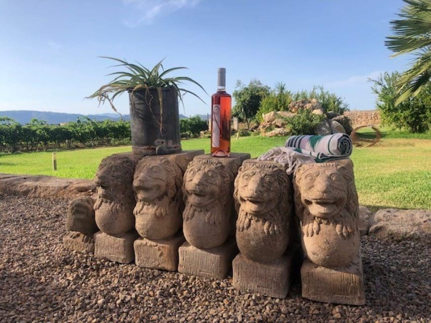 Mallorca: Bodega Butxet Vineyards & Winery Tour With Tasting - Experience Highlights